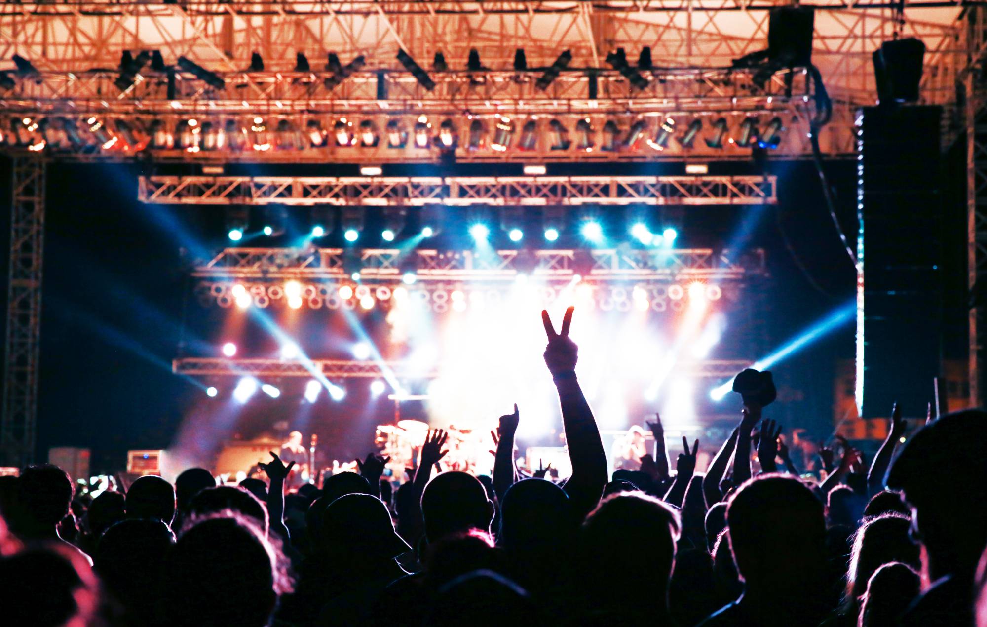 Concert crowd silhouette. Photo: Jena Ardell via GETTY