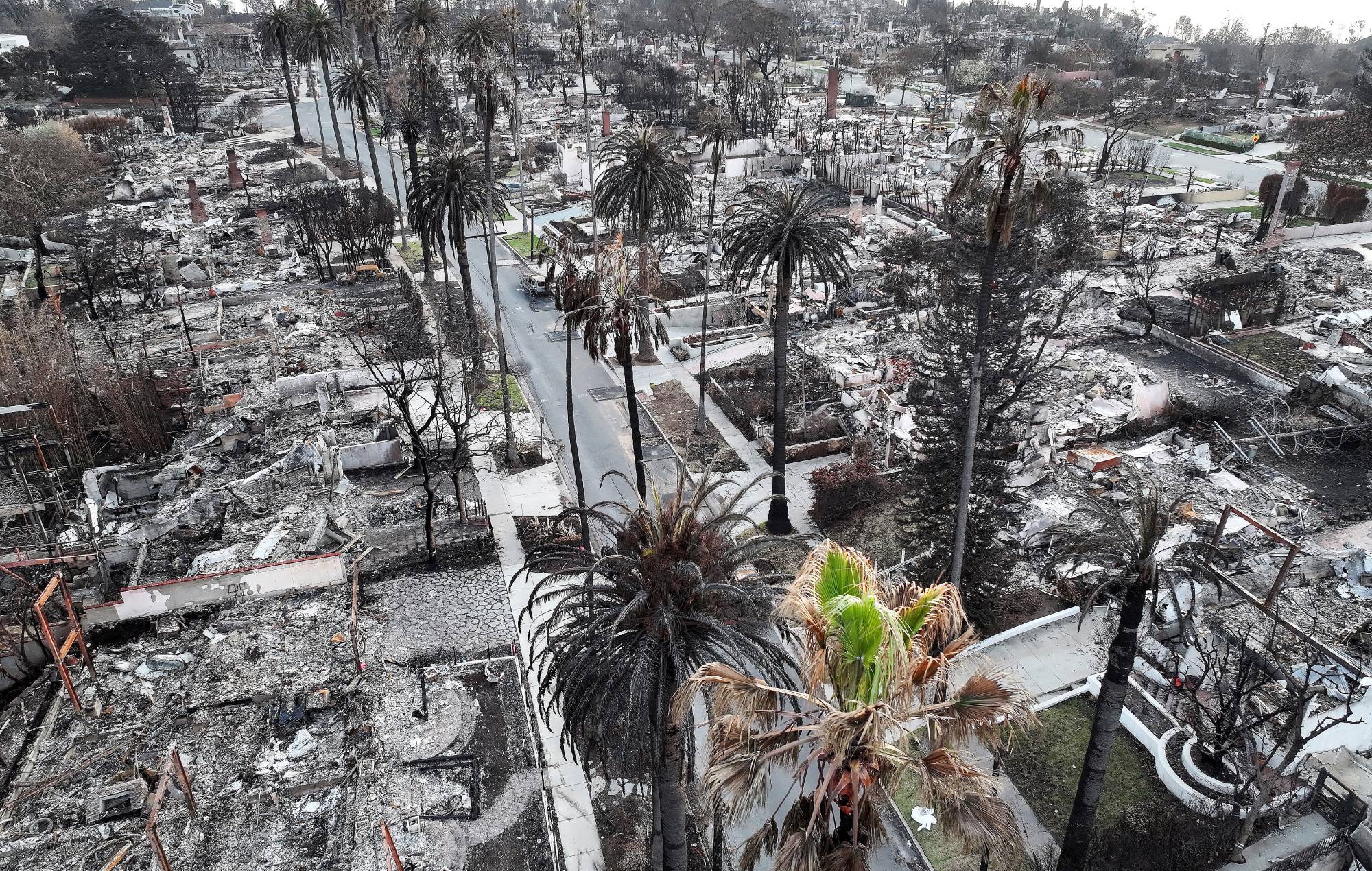 Aerial view of the trees and homes that burned in the fire of the Palisades on January 28, 2025, in the Pacific Palisades, California. (Photo Mario Tama/Getty Images)