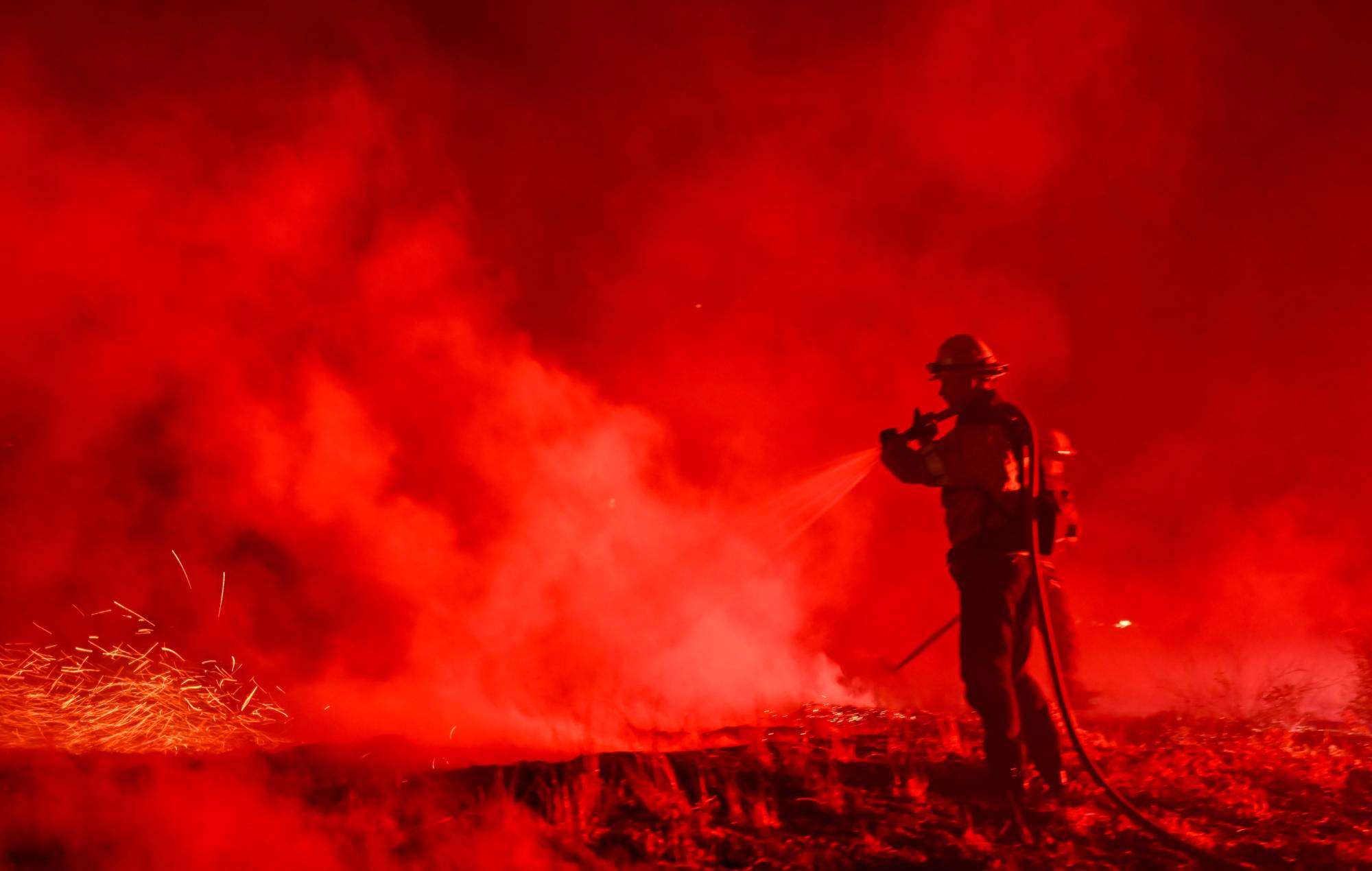 Firefighters are fighting with a flame during a forest fire